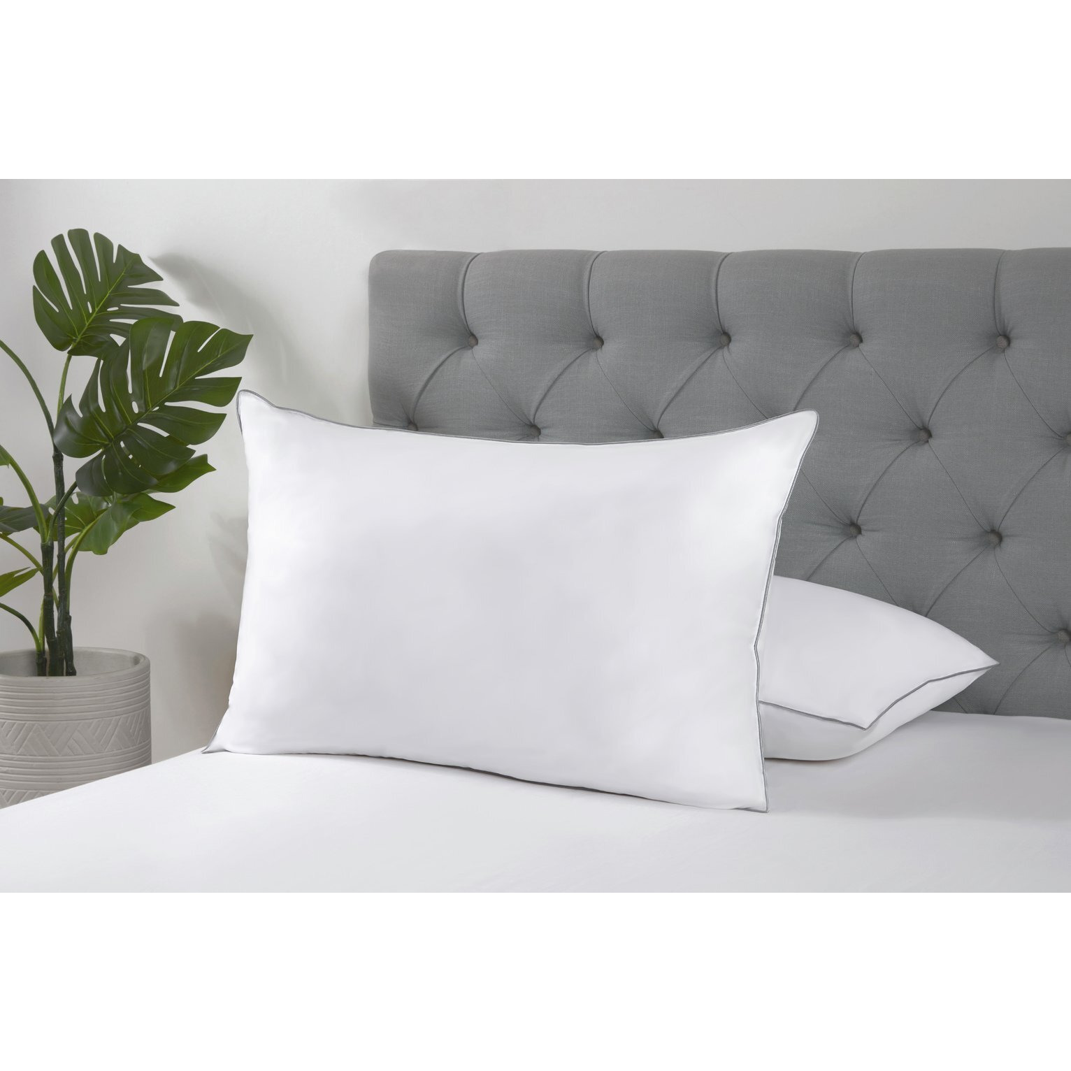 Buy Argos Home Feather Cushion Pads - 2 Pack - White - 50x50cm | Cushions |  Argos