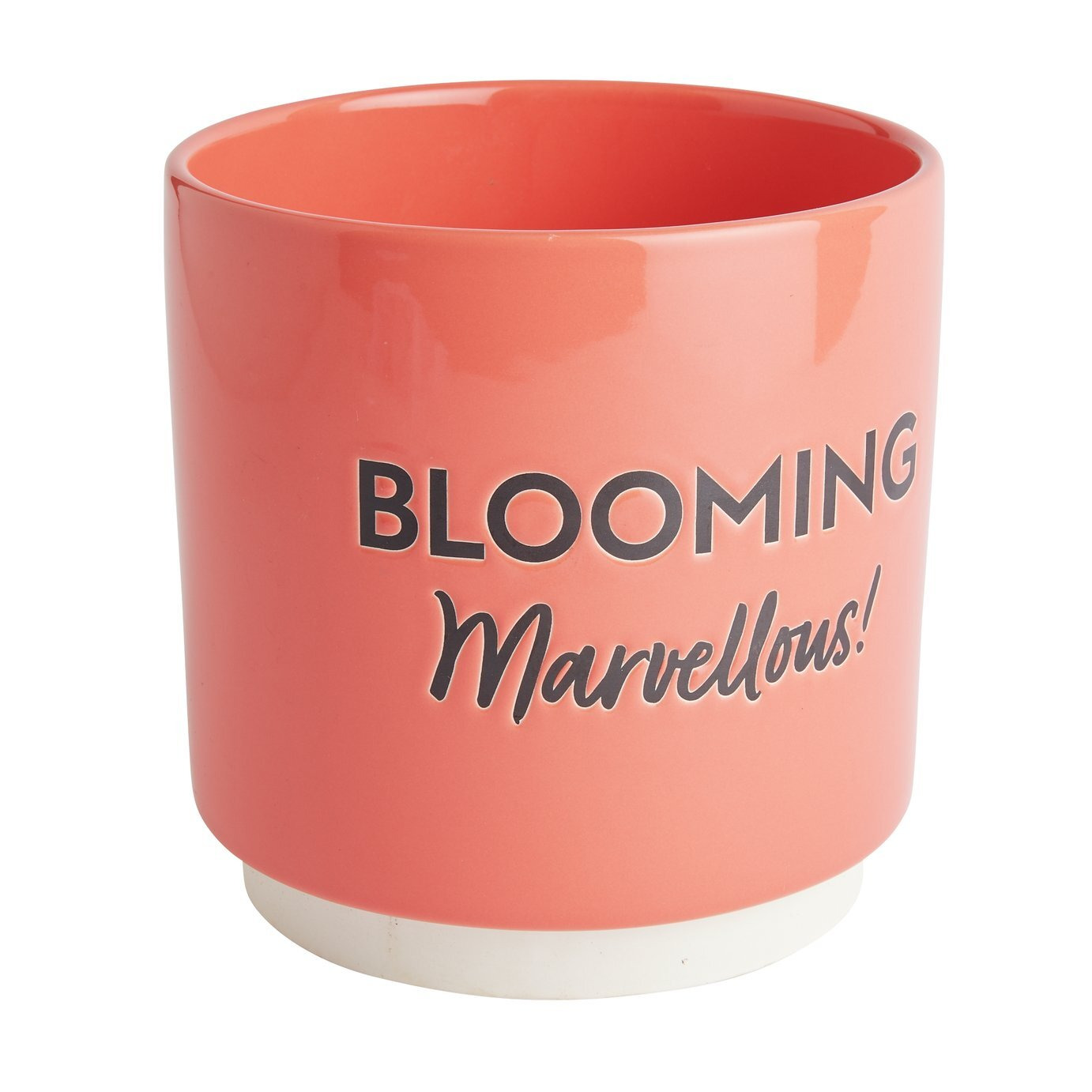 Garden by Sainsbury's Blooming Marvelous Outdoor Planter