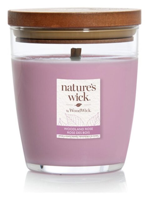 Nature's Wick Singlewick Candle - Woodland Rose - image 1