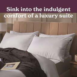 Sleepeezee Hotel Luxe Medium Pillow - 2 Pack - thumbnail 2