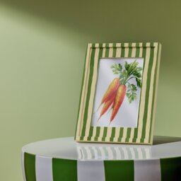 """Habitat Stripe Printed Green Picture Frame - 4x6"""""""