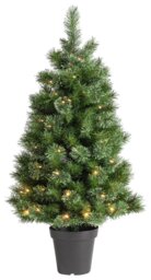 Habitat 4ft Pre lit Potted Natural Look Small Christmas Tree - thumbnail 2