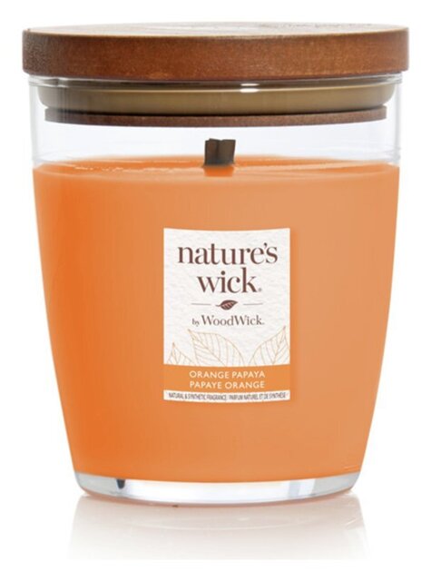 Nature's Wick Singlewick Candle - Orange Papaya - image 1