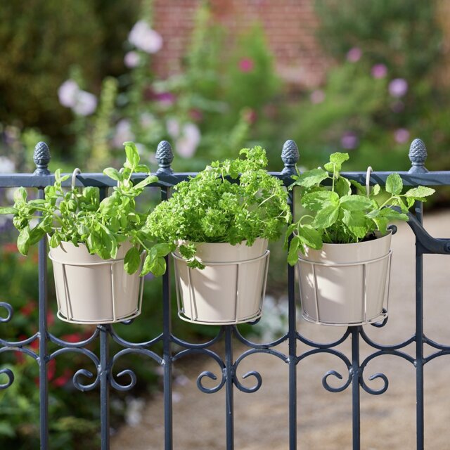 Argos Home Metal Grey Planter - Set of 3 - image 1