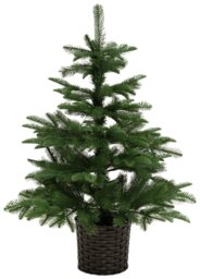 Habitat 3ft Premium Natural Look Small Christmas Tree - thumbnail 2