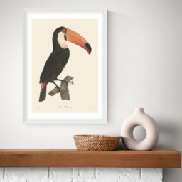 East End Prints Toucan White Frame Art Print - A3 - thumbnail 2