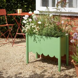 Argos Home Wooden Green Planter - thumbnail 1