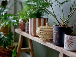 Bloomingville Terracotta Planter Pot - White - thumbnail 2