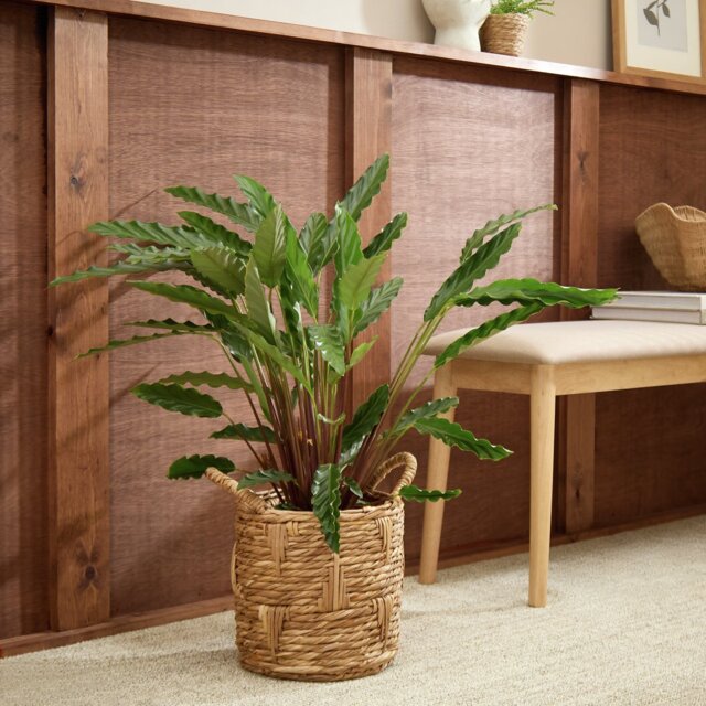 Habitat Small Rattan Handle Planter - Natural - image 1