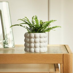 Habitat Bobble Small Planter - Grey - thumbnail 1