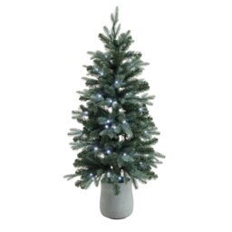 Habitat 4ft Pre Lit Blue Tips Small Potted Christmas Tree - thumbnail 2