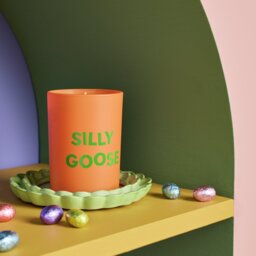Argos Home Silly Goose Candle - thumbnail 1