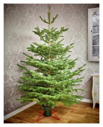 Premier Decorations Metal Real Christmas Tree Stand - 57cm - thumbnail 2