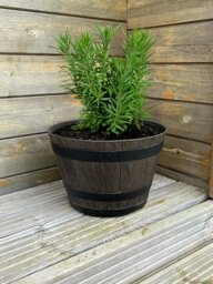 Terrastyle 31cm Whiskey Barrel Planter - thumbnail 2