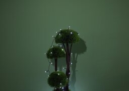 Argos Home 100 LED Solar String Lights - White - thumbnail 2