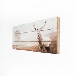 Art for the Home Stag Wooden Canvas Wall Art - 30x70cm - thumbnail 2
