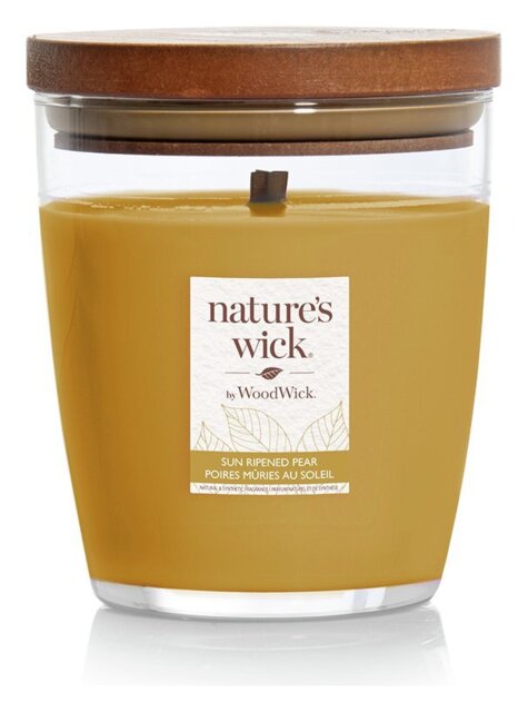 Nature's Wick Singlewick Candle - Sun Ripened Pear - image 1