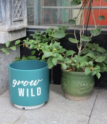 Habitat Slogan Planter - thumbnail 1