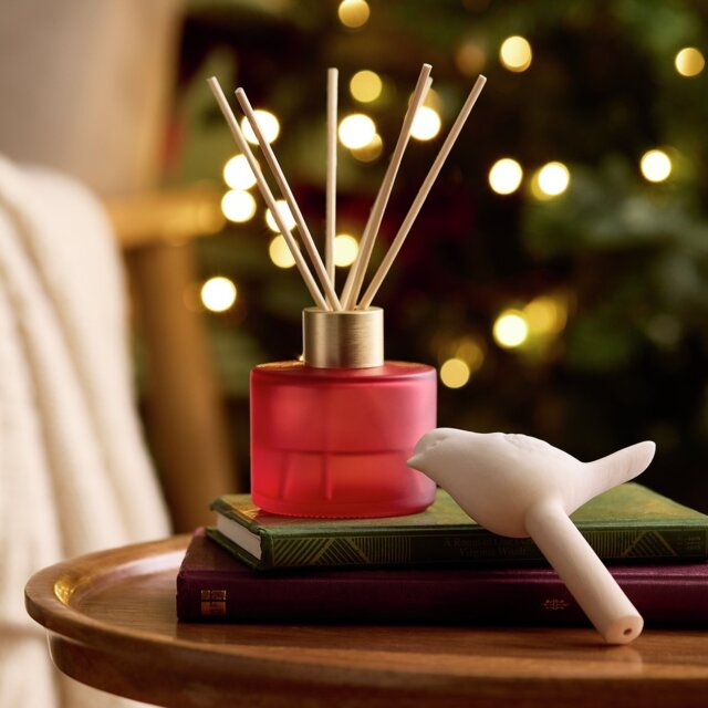 Argos Home 90ml Robin Diffuser - Christmas Spice - image 1