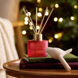 Argos Home 90ml Robin Diffuser - Christmas Spice - thumbnail 1