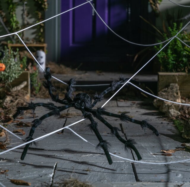 Argos Home Halloween Large Outdoor Web & Spider Decoration - image 1