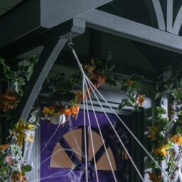 Argos Home Halloween Large Outdoor Web & Spider Decoration - thumbnail 2