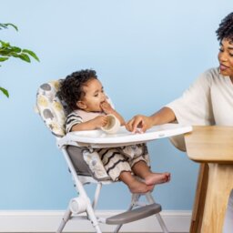 Graco Minilite Compact Folding Highchair - Safari - thumbnail 2