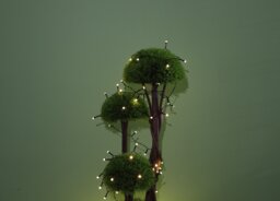 Argos Home 100 LED Solar String Lights - Warm White - thumbnail 2