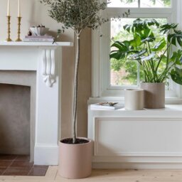 Ivyline Valetta Terrazzo Planter Set of 3 - thumbnail 2