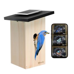 Birdfy Ebony Lite Smart Bird House with Camera - thumbnail 1