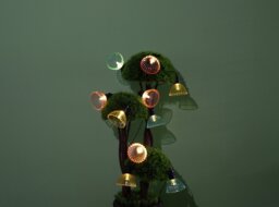 Habitat 10 LED Solar String Lights - Warm White - thumbnail 2