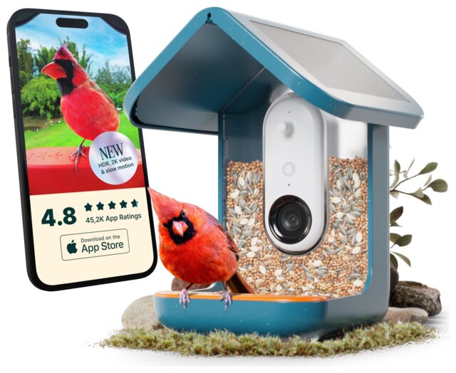 Bird Buddy Smart Bird Feeder Pro - Blue - image 1
