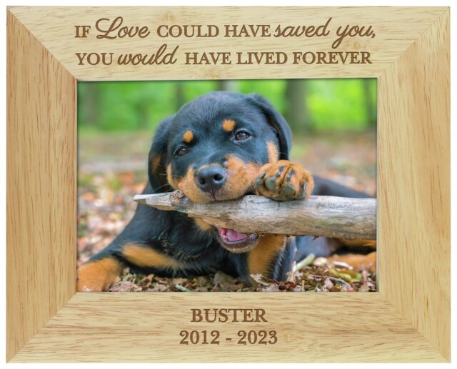 Personalised Message Pet Memorial Photo Frame - 25x20cm - image 1