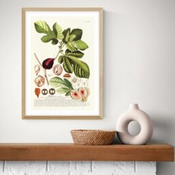 East End Prints Ficus Oak Frame Art Print - A2 - thumbnail 1