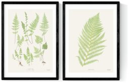 East End Prints Botan Vintage Black Frame Art Print - A3