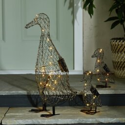 Home Solar Duck Family