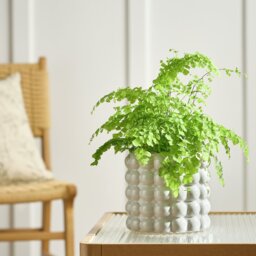 Habitat Bobble Large Planter- Grey - thumbnail 1