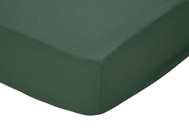 Habitat Cotton Rich 180 TC Leaf Green Fitted Sheet - Single - image 1
