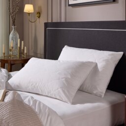 Snuggledown Hotel Luxury Cotton Quilted Pillow - 4 Pack - thumbnail 2
