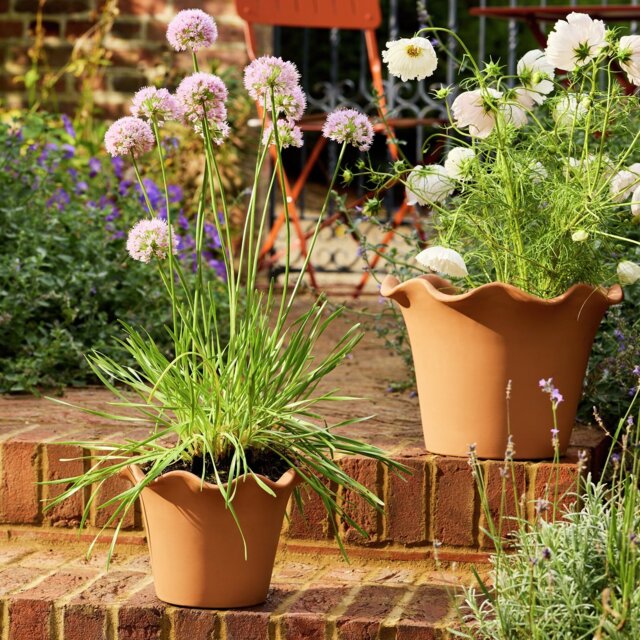 Habitat Scalloped 21cm Clay Planter - Small - image 1