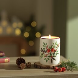 Argos Home Ceramic Singlewick Candle - Christmas Spice - thumbnail 1
