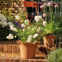 Habitat Scalloped 28.5cm Clay Planter - Large - thumbnail 1