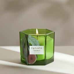 Argos Home Boxed Candle - Fig Leaf & Amber