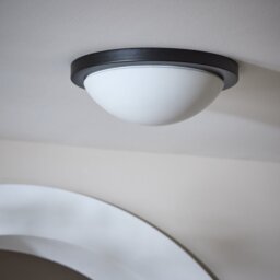 Argos Home Aspley Bathroom Flush to Ceiling Light - Black - thumbnail 2