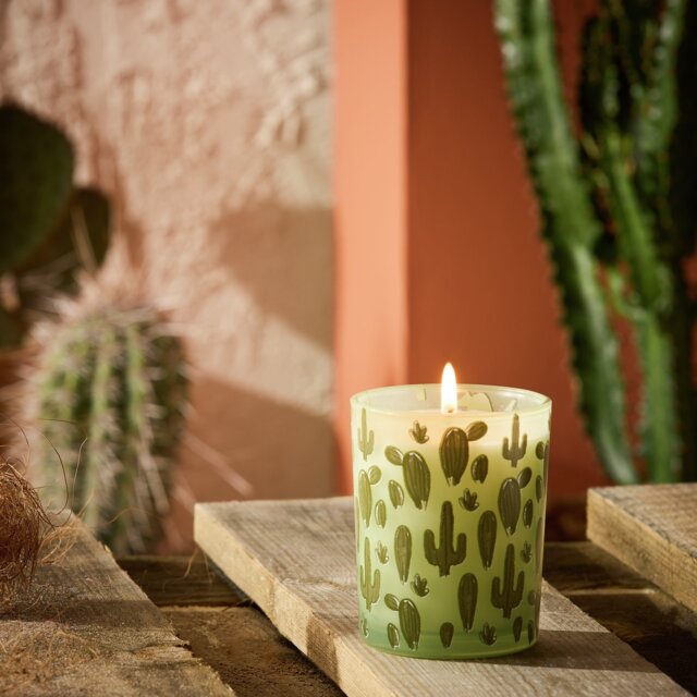 Habitat Boxed Candle - Texas - image 1