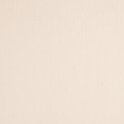 Argos Home Blake Pair of Velvet Dining Chairs - Cream - thumbnail 2