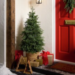 Argos Home 4ft Potted Conifer Artificial Christmas Tree - thumbnail 1