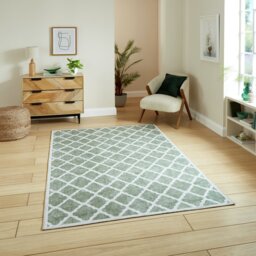 Think Rugs Washable Coral Green  Rug - 152x230cm - thumbnail 1