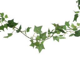 Garden by Sainsbury's 20 Ivy Solar String Lights - thumbnail 2