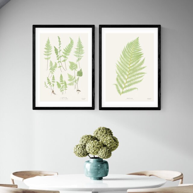 East End Prints Botan Vintage Black Frame Art Print - A2 - image 1